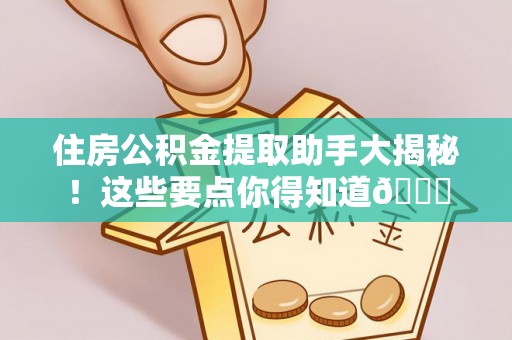 大社住房公积金提取助手大揭秘！这些要点你得知道😎