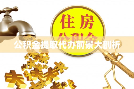 大社公积金提取代办前景大剖析