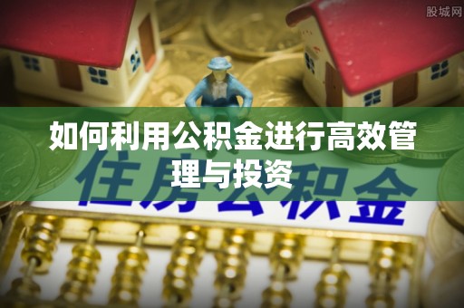大社如何利用公积金进行高效管理与投资